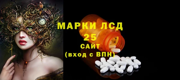 стаф Алексин