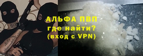 стаф Алексин