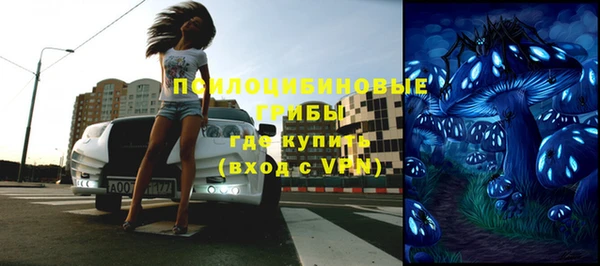 винт Алзамай