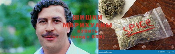 винт Алзамай